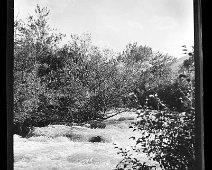 photo_editor_ds_1637374652067